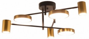 Потолочная люстра Kink Light Рапис 07645-6D,19(20) в Троицке - troick.ok-mebel.com | фото