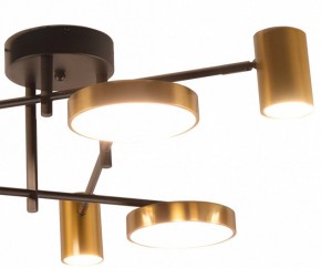 Потолочная люстра Kink Light Рапис 07645-6D,19(20) в Троицке - troick.ok-mebel.com | фото 2