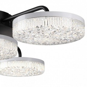 Потолочная люстра Lumion Didana 8236/4CL в Троицке - troick.ok-mebel.com | фото 7
