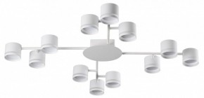 Потолочная люстра Lumion Gareta 8235/12C в Троицке - troick.ok-mebel.com | фото