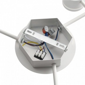 Потолочная люстра Lumion Gareta 8235/9C в Троицке - troick.ok-mebel.com | фото 6