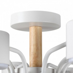 Потолочная люстра Lumion Rondo 8196/10C в Троицке - troick.ok-mebel.com | фото 8