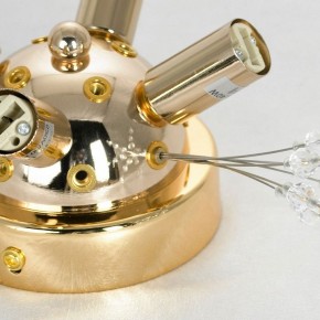 Потолочная люстра Lussole Davie LSP-8781 в Троицке - troick.ok-mebel.com | фото 4