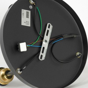 Потолочная люстра Lussole Mitchel LSP-8996 в Троицке - troick.ok-mebel.com | фото 5