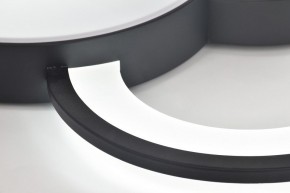 Потолочная люстра Rivoli Aliona Б0066452 в Троицке - troick.ok-mebel.com | фото 10