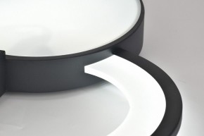 Потолочная люстра Rivoli Aliona Б0066452 в Троицке - troick.ok-mebel.com | фото 11