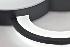 Потолочная люстра Rivoli Aliona Б0066452 в Троицке - troick.ok-mebel.com | фото 12