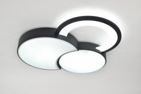Потолочная люстра Rivoli Aliona Б0066452 в Троицке - troick.ok-mebel.com | фото 8