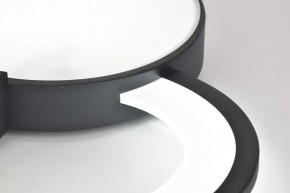 Потолочная люстра Rivoli Aliona Б0066452 в Троицке - troick.ok-mebel.com | фото 9