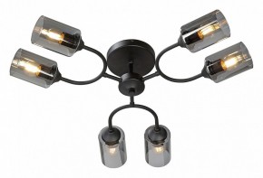 Потолочная люстра Vitaluce V2823 V2823-1/6PL в Троицке - troick.ok-mebel.com | фото 2