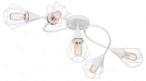 Потолочная люстра Vitaluce V3037 V3037-0/5PL в Троицке - troick.ok-mebel.com | фото