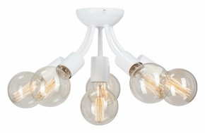 Потолочная люстра Vitaluce V3927 V3927-0/6PL в Троицке - troick.ok-mebel.com | фото