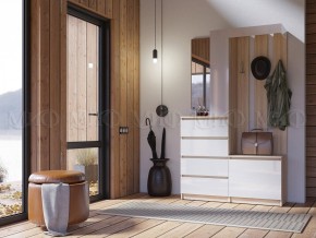 ЧЕЛСИ Прихожая в Троицке - troick.ok-mebel.com | фото 3