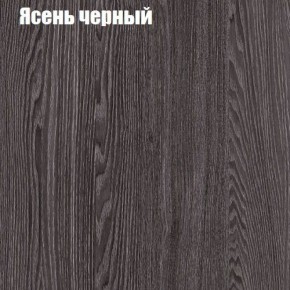 Прихожая ДИАНА-4 сек №10 (Ясень анкор/Дуб эльза) в Троицке - troick.ok-mebel.com | фото 3