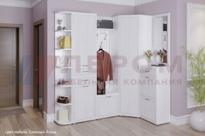 Прихожая Карина композиция 5 (Снежный ясень) в Троицке - troick.ok-mebel.com | фото