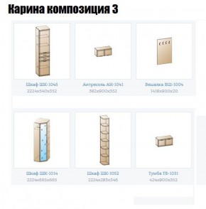 Прихожая Карина (модульная) в Троицке - troick.ok-mebel.com | фото 8