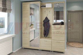 Прихожая Мелисса композиция 1 (Ясень Асахи) в Троицке - troick.ok-mebel.com | фото