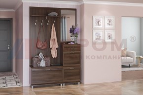 Прихожая Мелисса композиция 8 (Акация Молдау) в Троицке - troick.ok-mebel.com | фото