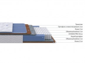 PROxSON Матрас Active Duo M/F (Ткань Трикотаж Эко) 90x200 в Троицке - troick.ok-mebel.com | фото 2