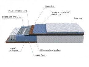 PROxSON Матрас Active Duo M/F (Ткань Трикотаж Эко) 120x190 в Троицке - troick.ok-mebel.com | фото 6