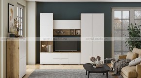 МИЛАН-1 Секция ТВ (ЦРК.МЛН.01 секция ТВ) в Троицке - troick.ok-mebel.com | фото 3