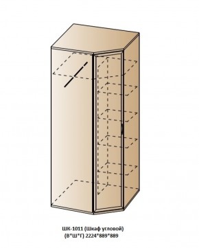 ШК-1011 (Шкаф угловой) в Троицке - troick.ok-mebel.com | фото