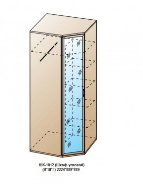 ШК-1012 (Шкаф угловой) в Троицке - troick.ok-mebel.com | фото