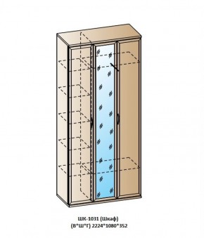 ШК-1031 (Шкаф) в Троицке - troick.ok-mebel.com | фото