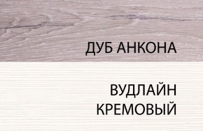 Шкаф 1DZ, OLIVIA, цвет вудлайн крем/дуб анкона в Троицке - troick.ok-mebel.com | фото 3