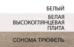 Шкаф 2D/TYP 20A, LINATE ,цвет белый/сонома трюфель в Троицке - troick.ok-mebel.com | фото 4