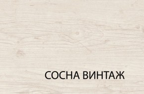 Шкаф 3DG2S, MAGELLAN, цвет Сосна винтаж в Троицке - troick.ok-mebel.com | фото 6