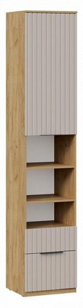 Шкаф комбинированный Хилтон Исп. 2 в Троицке - troick.ok-mebel.com | фото 2