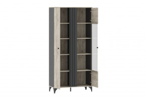 Шкаф комбинированный НМ 040.10 "Отис" в Троицке - troick.ok-mebel.com | фото 2
