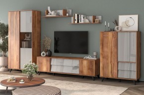 Шкаф комбинированный Онтарио 474.06 в Троицке - troick.ok-mebel.com | фото 5