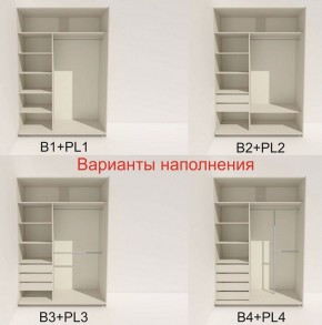 Шкаф-купе 1400 серии SOFT D8+D2+B2+PL4 (2 ящика+F обр.штанга) профиль «Капучино» в Троицке - troick.ok-mebel.com | фото 4