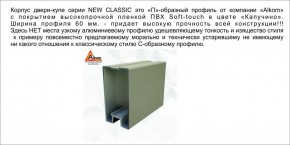 Шкаф-купе 1500 серии NEW CLASSIC K3+K3+B2+PL1 (2 ящика+1 штанга) профиль «Капучино» в Троицке - troick.ok-mebel.com | фото 5