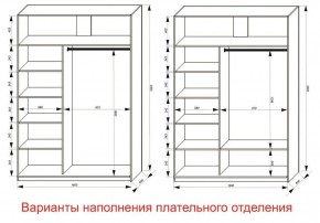 Шкаф-купе 1600 серии SOFT D1+D3+B2+PL1 (2 ящика+1штанга) профиль «Графит» в Троицке - troick.ok-mebel.com | фото 6