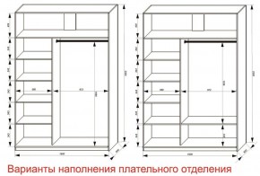 Шкаф-купе 1600 серии SOFT D6+D4+B2+PL2 (2 ящика+1штанга+1 полка) профиль «Капучино» в Троицке - troick.ok-mebel.com | фото 8