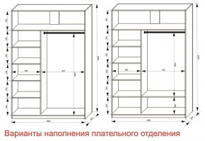 Шкаф-купе 1600 серии SOFT D8+D2+B2+PL4 (2 ящика+F обр.штанга) профиль «Графит» в Троицке - troick.ok-mebel.com | фото 7