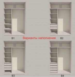 Шкаф-купе 1700 серии SILVER S4+S3Z+B2+PL1 (2 ящика+1 штанга) профиль «Серебро» в Троицке - troick.ok-mebel.com | фото 5