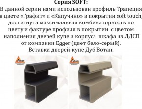 Шкаф-купе 1800 серии SOFT D1+D3+B2+PL1 (2 ящика+1штанга) профиль «Графит» в Троицке - troick.ok-mebel.com | фото 11