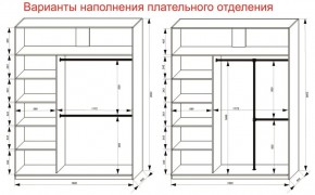 Шкаф-купе 1800 серии SOFT D8+D2+B2+PL4 (2 ящика+F обр.штанга) профиль «Графит» в Троицке - troick.ok-mebel.com | фото 8