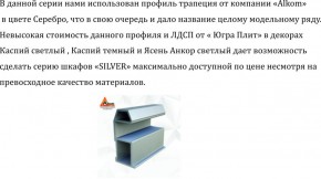 Шкаф-купе 2250 серии SILVER S3+S1+S3Z B22+PL2 (по 2 ящика лев/прав+1штанга+1 полка) профиль «Серебро» в Троицке - troick.ok-mebel.com | фото 4