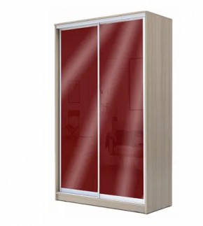 Шкаф-купе ХИТ 22-17-22 (620) в Троицке - troick.ok-mebel.com | фото 8