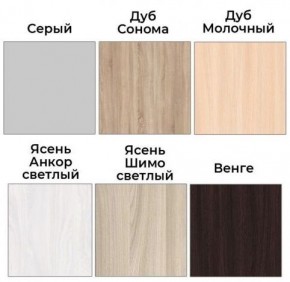 Шкаф-купе ХИТ 22-4-12/2-77 (420) в Троицке - troick.ok-mebel.com | фото 3