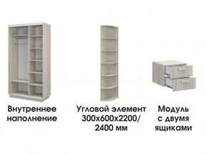 Шкаф-купе «ТАНДЕМ» 2-х дверный в алюминиевом профиле (Дверь ЛДСП+Z) 1800/h2200 в Троицке - troick.ok-mebel.com | фото 8