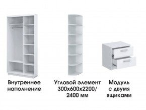 Шкаф-купе «ТАНДЕМ» 2-х дверный в белом профиле (Дверь Z+Z) 1200/h2200 в Троицке - troick.ok-mebel.com | фото 3