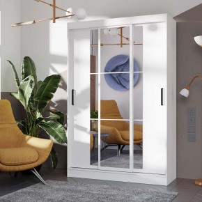 Шкаф-купе Тайм ШКК-03 (белый) в Троицке - troick.ok-mebel.com | фото