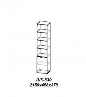 Шкаф Лотос ШК-830 Ясень шимо темный в Троицке - troick.ok-mebel.com | фото