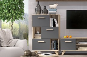 Шкаф низкий с нишами Вега Скандинавия в Троицке - troick.ok-mebel.com | фото 6
